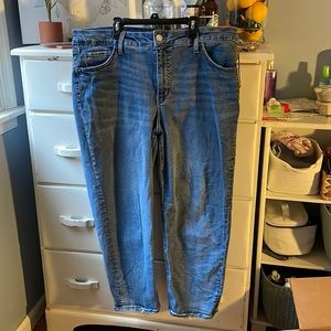 Plus Size Straight Leg Jeans